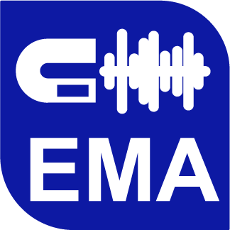 Electromagnetic acoustic testing